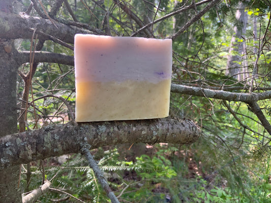 Filthy Bastard Soaps are quality handmade soaps crafted from only the highest quality ingredients. We use only the finest therapeutic grade essential oils and responsibly and ethically sourced materials from all over the world. Our soaps are completely free of all GMO ingredients, parabens, sodium lauryl sulfate, unnatural preservatives, and petroleum products. Many of our soaps are 100% vegan as well with the exception of a few varieties that incorporate goats milk, honey, or beeswax.